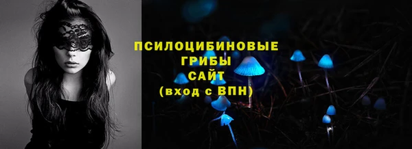 стаф Белокуриха