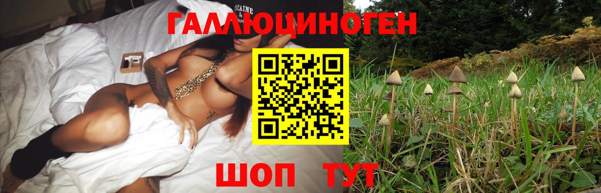 Пыть-Ях  Псилоцибиновые грибы мухоморы  Галлюциногенные грибы Magic Shrooms  Вход с VPN 